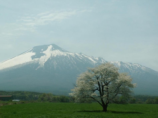 『アサンギ1988』八幡平・安比高原を巡って泊って食べて風呂貸切無料〜地産地消旬菜ディナープラン